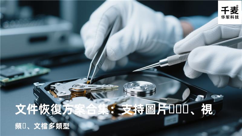 文件恢復方案合集：支持圖片、視頻、文檔多類型 